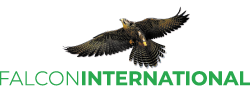 Logo Falcon International